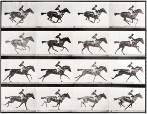 Screen Shot 2013-04-21 at 8.36.53 PM