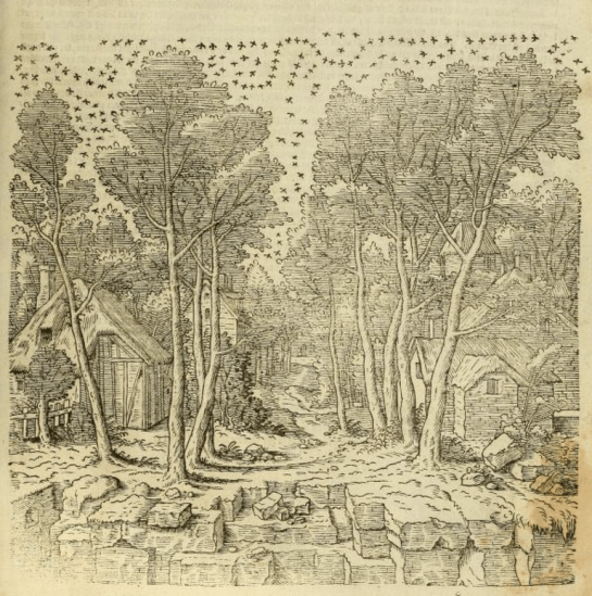 Screen Shot 2017-06-05 at 2.18.25 PM crop.png